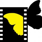 syff_sytv_logo